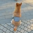 thumbnail image 4 of Male Dog Diapers, High Absorbing Dog Belly Bands for Male Dogs, Washable Reusable Dog Males Wraps, 4 of 9