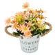 thumbnail image 2 of Artificial Potted Plant, Silk Flower Artificial Daisy Pot Beautiful Exquisite For Woman For Gardens ANGGREK Otros, 2 of 8