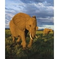 thumbnail image 1 of Maintenir la Terre, 1 of 3