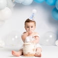 thumbnail image 2 of Gorro BASCT One Funny Goose Blue Gingham para niño en su primer cumpleaños, 2 of 9