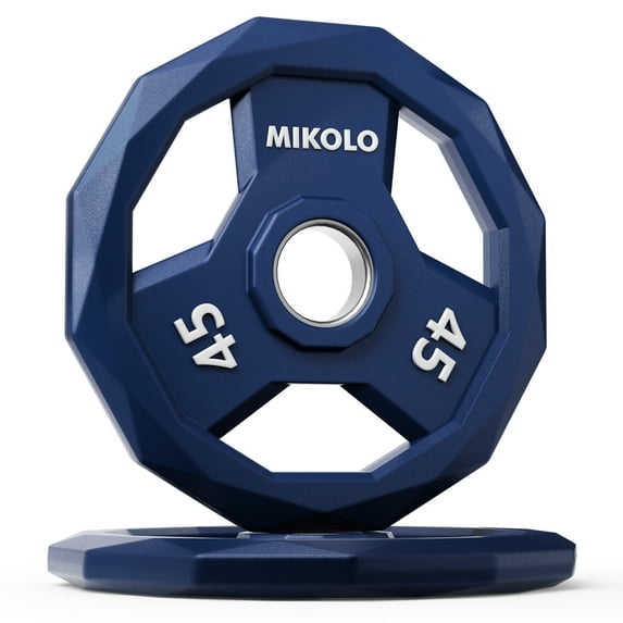 WEIGHT PLATES- 45LB X 2