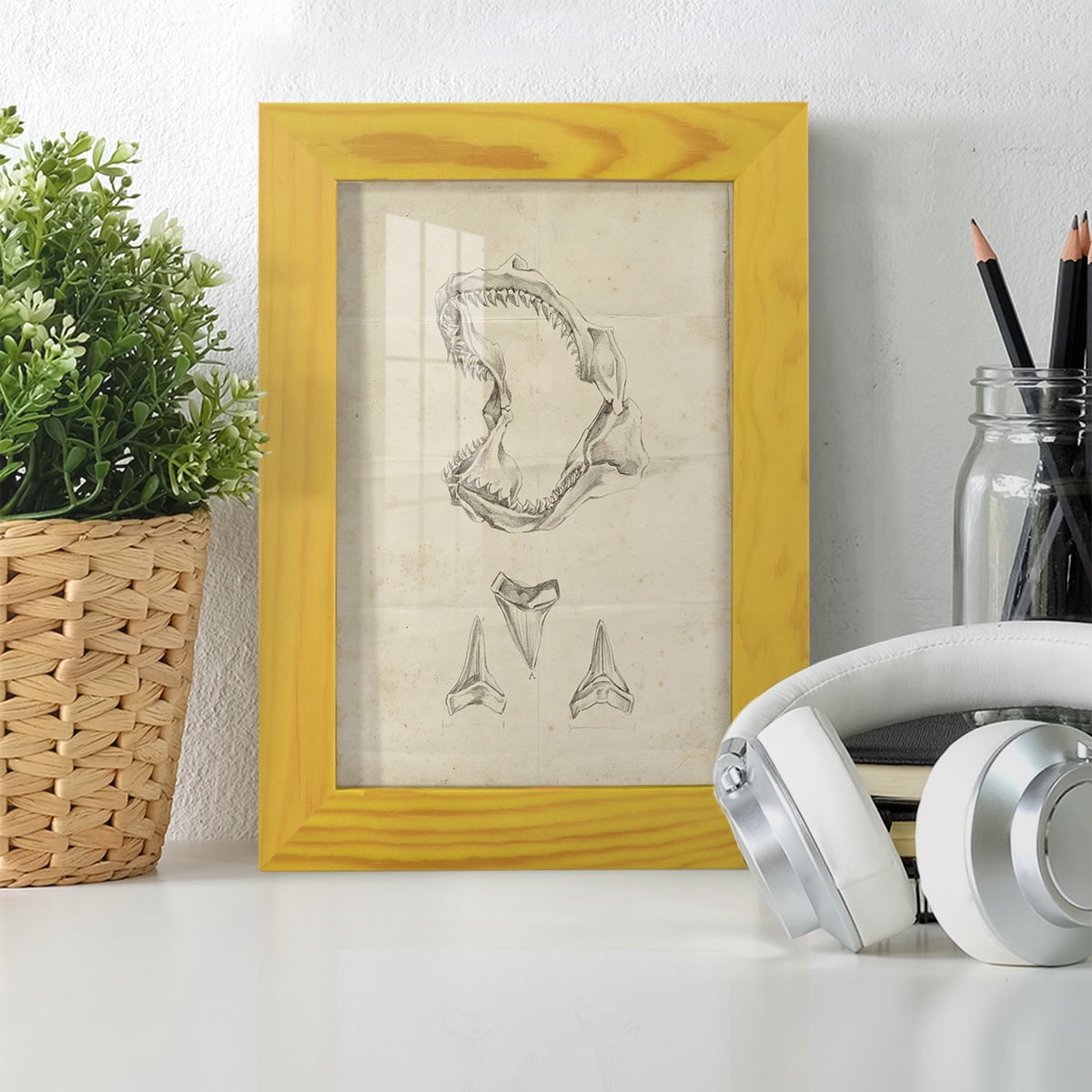 Shark Study II - Framed Print w/glass - Sunflower Yellow