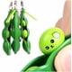 thumbnail image 4 of juguetes antiestrés con divertidas expresiones faciales, ideal para niños y adultos, ideal para aliviar el estrés y la ansiedad. Colgantes de soja con forma de guisante para aliviar el estrés., 4 of 5