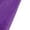 Purple, variant on Belly Dance Pants Women Satin Sequins Tassel Pants Arabian Uniform Adults Dance Outfits Purple L