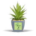thumbnail image 1 of Pot de Fleurs Ananas Numérique Sept Ans Mini Décor, 1 of 3