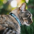 thumbnail image 2 of Buckle-Down Breakaway Cat Collar With Bell, Plastic Clip, Easy Adjustable, Anchor Close Up Turquoise Blues, 8.5 to 12 Inches 0.5 Inch Wide, 2 of 4