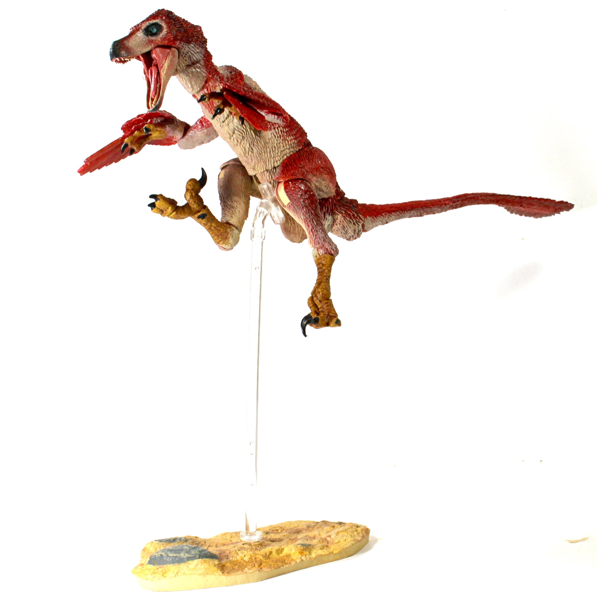 Beasts Of The Mesozoic: Velociraptor Osmolskae Version 2 Red - 1/6 Scale Dinosaur Action Figure -12" Articulated Collectible Miniature, Hand-Painted