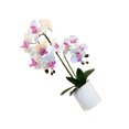 thumbnail image 2 of Yuarrent ABS No se requiere riego Planta artificial para una fácil decoración del hogar Buena sensación de mano Bonsai BF2312087 Type2 NO2, 2 of 6
