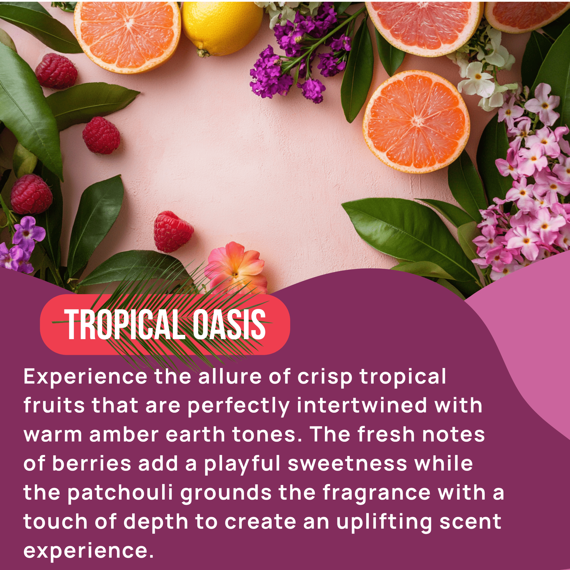 Happy Curves Feminine Intimate Wash, Tropical Oasis, 7 fl oz
