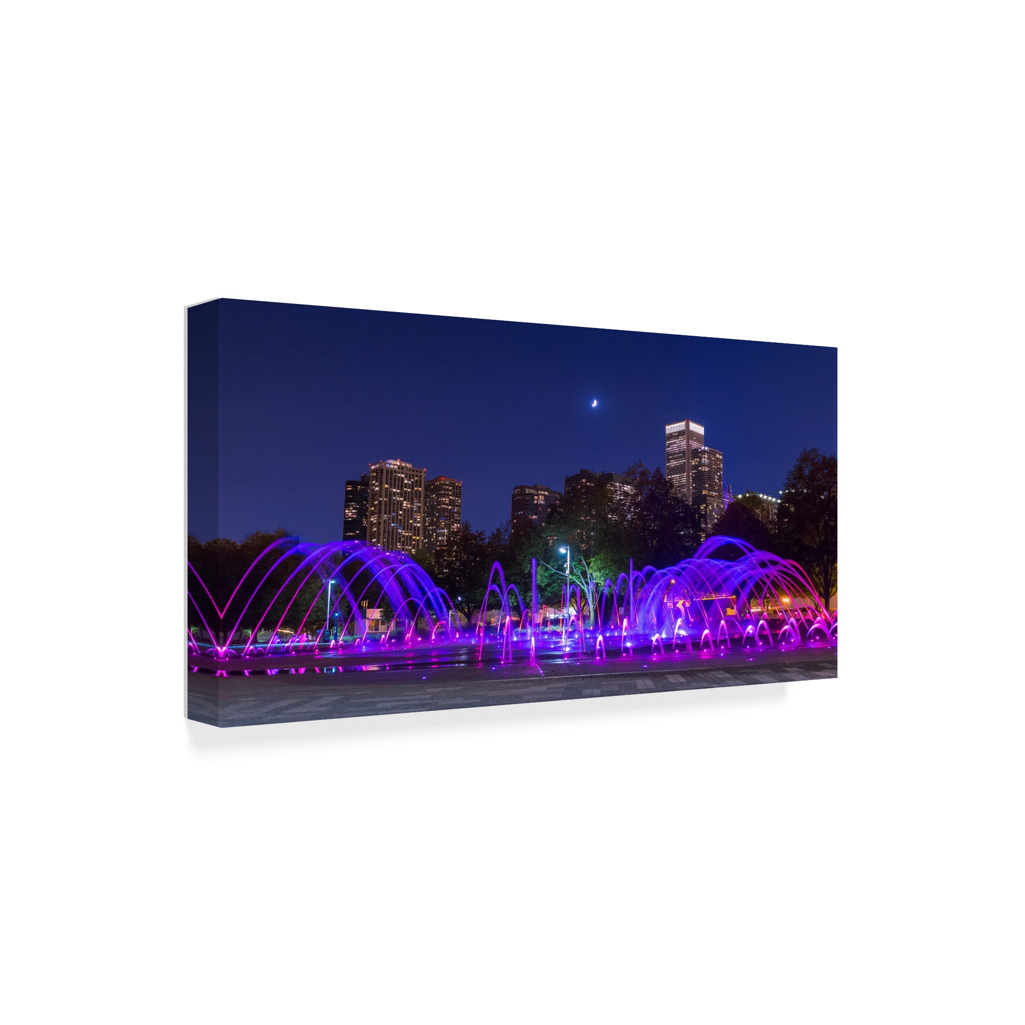 Trademark Fine Art 'Chicago Moonlight' Canvas Art by NjR Photos