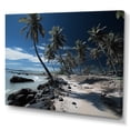 thumbnail image 2 of Designart "Paradise of Palm Trees in the Dominican" Nautical & Beach Canvas Print, 2 of 5