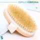 thumbnail image 3 of Cepillo Corporal - Sovico - Forma Ovalada, Cerdas Densidad Media, 3 of 6