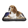 thumbnail image 2 of PKQWTM Night Landscape Pet Dog Cat Bed Pee Pads Mat Cushion Potty Dogsblankets Crate Bed Kennel 36x48 inch, 2 of 3