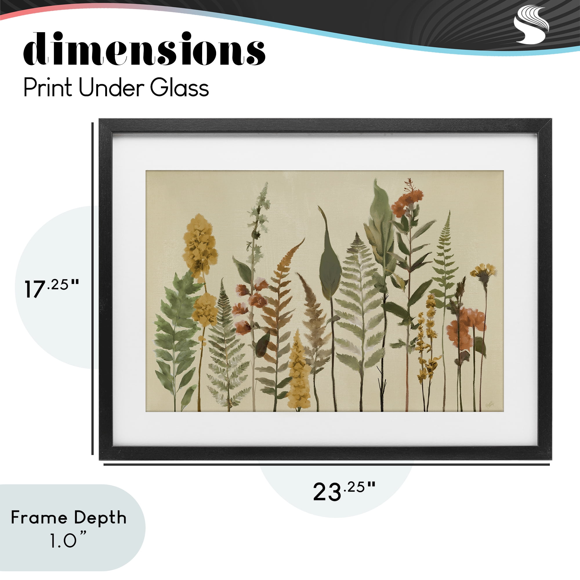Stupell Industries Fall Toned Botanics Black Framed Print Under Glass, design by Elizabeth Medley