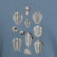thumbnail image 3 of CafePress - TRILOBITES Men's Comfort Colors® T Shirt - Mens Comfort Colors Shirt, 3 of 5