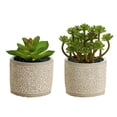 thumbnail image 1 of Bonsái suculentas de simulación, pequeños adornos creativos, macetas de cemento, plantas verdes artificiales, 2 uds., 1 of 5