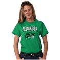 thumbnail image 3 of North Dakota Funny Midwest Winter ND Men's Graphic T Shirt Tees Brisco Brands X, 3 of 6