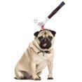 thumbnail image 2 of Halloween Dog Costumes for Large Dogs Pet Hat Halloween Funny Decoration Realistic Design Dog Hat Cosplay Halloween Dog Toys for Large Dogs Dog Halloween Costumes Medium, 2 of 4