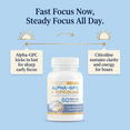 thumbnail image 5 of Maximize Within Alpha GPC + Citicoline Capsules, 1600mg Concentrated Formula, 60 Capsules, Supports Memory, Focus, Mental Clarity & Cognitive Function, 5 of 7