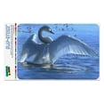 thumbnail image 1 of Tundra Swan in the Lake at Dawn Home Business Office Sign, 1 of 7