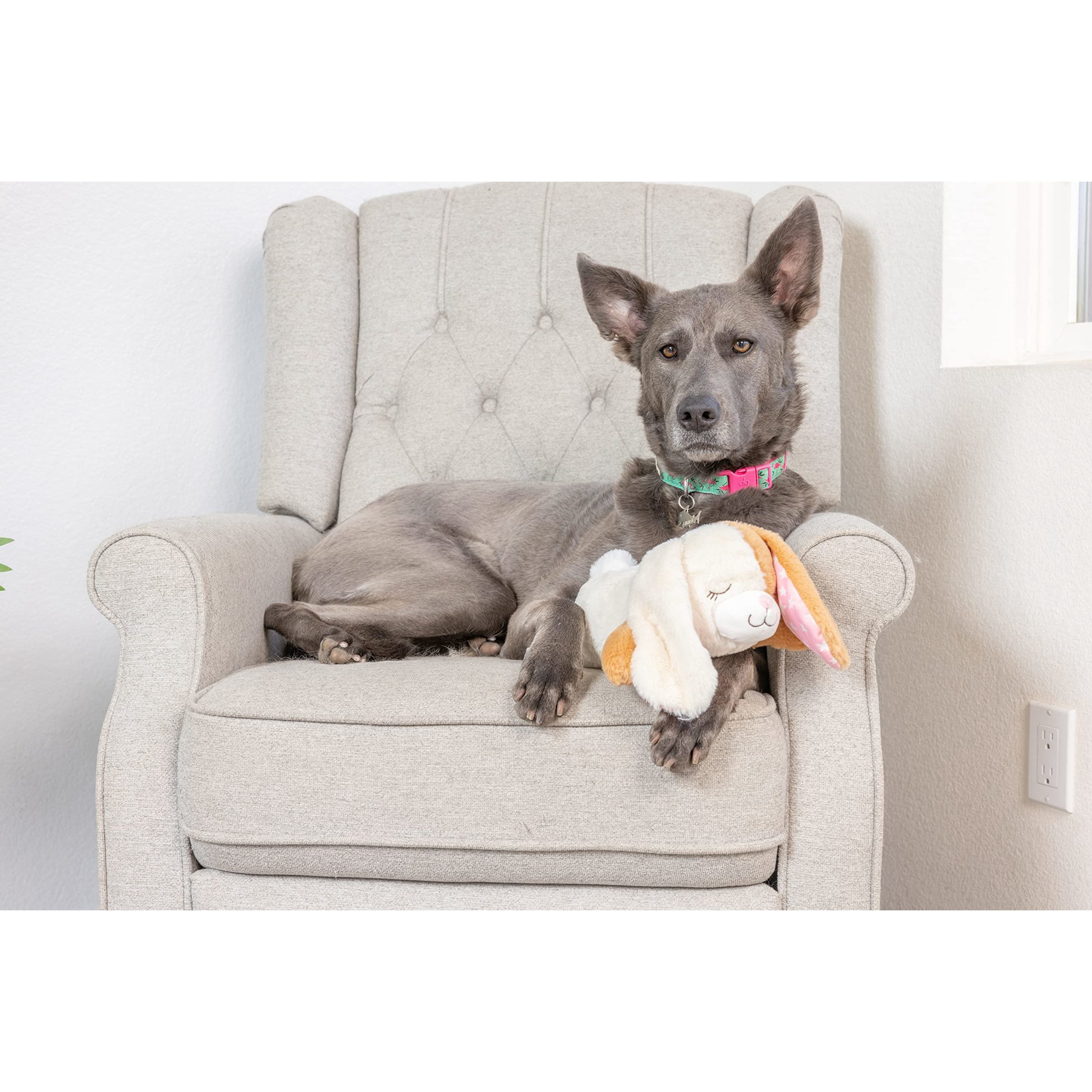Downtown Pet Supply Hearbeat Comfort Dog Toys, Rabbit Plush Dog Toy