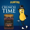 Planters Dark Chocolate Flavored Roasted Cocoa Almonds, 2.31 lb