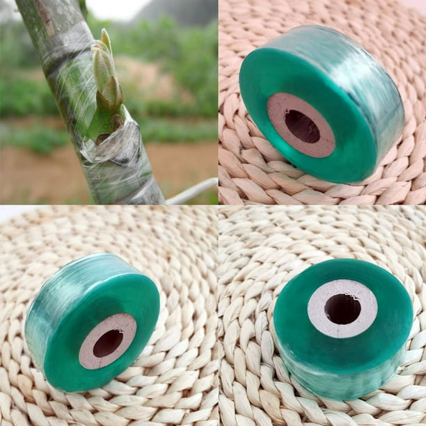 RV Cinta de injerto, 2 piezas de cintas de injerto de 100 m, cinta de injerto de vivero estirable autoadhesiva biodegradable, cinta de injerto segura y respetuosa con el medio ambiente (verde) brillar Electrónica