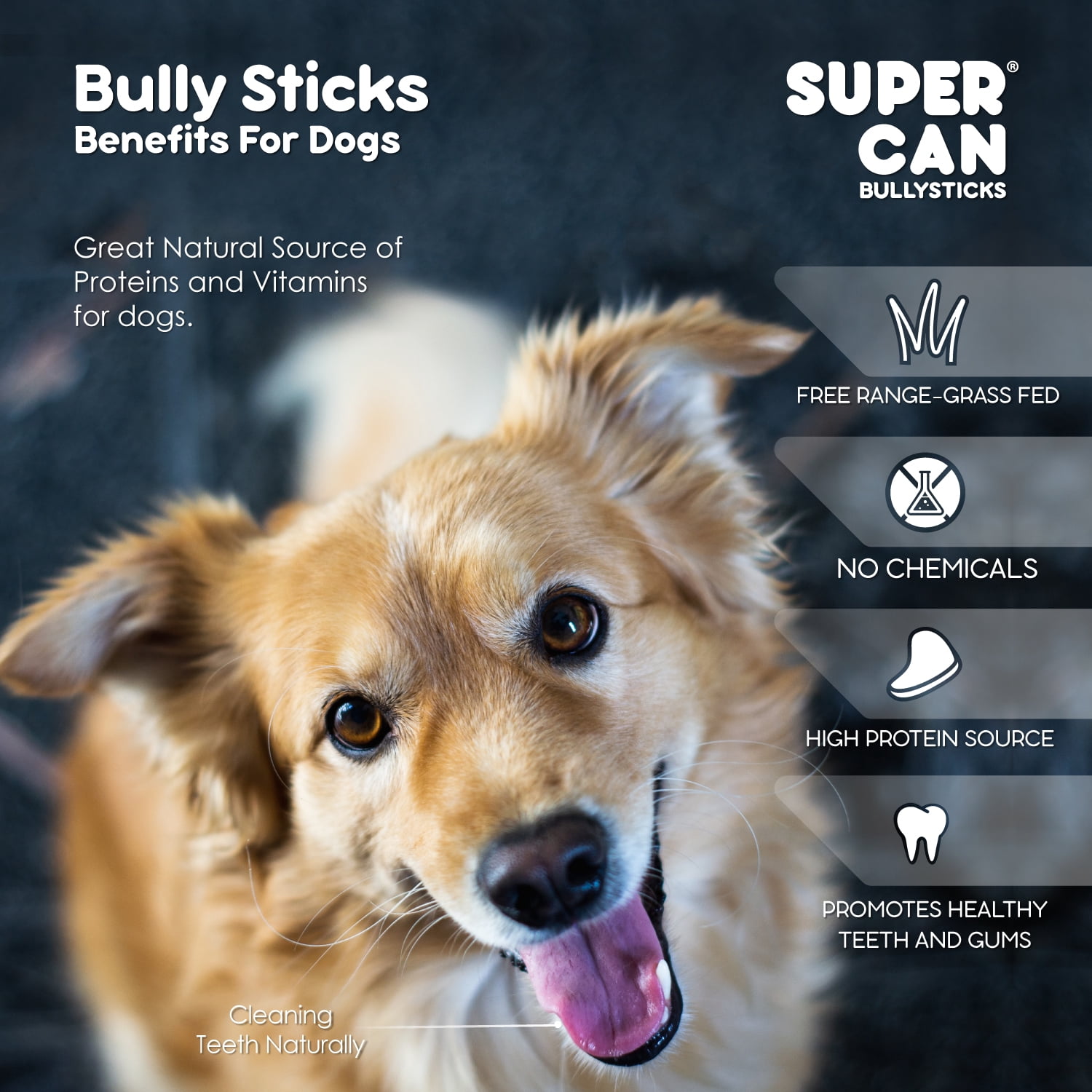 SuperCan BullySticks BLL-12-ST-8 12 in. Standard - 8 Piece