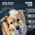 thumbnail image 5 of Long Lasting Bully Sticks for Dogs 6" Standard 10 pcs Bag, 5 of 8