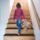 thumbnail image 5 of Alfombra de escalera autoadhesiva alfombra en relieve cepillada de 76x20cm alfombra suave para escalones de escalera, 5 of 5