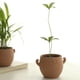 thumbnail image 2 of Maceta de Cerámica Decorativa para Plantas, Decoración del Hogar, con Cara Sonriente, para Jardín, Balcón, Bonsái, Patio, Escritorio para Hombre., 2 of 5