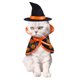 thumbnail image 1 of Halloween Mascota Capa Gato Perro Aderezo navideño Transfiguración, 1 of 5