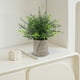 thumbnail image 1 of Artificial Green Plants Simulation Potted Home Office Hotel Lobby Decoration Green Plants Home Decoration Artificial Plants, 1 of 6