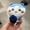 MAROON, variant on Usagi Chiikawa Bear Baseball Giants Hachiware Cartoon Keychain Pendant Plush Doll Ornament Backpack Plush Pendant