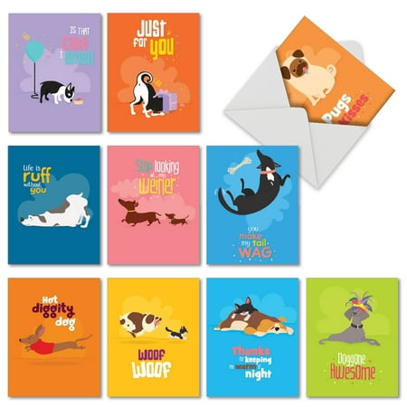 M6586OCB DOGGONE AWESOME NOTES' 10 Assorted All Occasions Note Cards Featuring Lovable Canines Being Their Awesome Selves on Bright Bold Backgrounds, with Envelopes by The Best Card