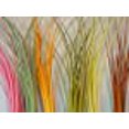 thumbnail image 3 of Hareline Quill Body Frying Pan PMD, 3 of 3