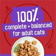 thumbnail image 5 of Purina Friskies Wet Cat Food, Meaty Bits with Beef in Gravy, 5.5 oz Can, 5 of 9