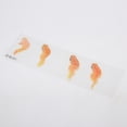 thumbnail image 4 of Etiquetas autoadhesivas plásticas Sunnimix 10 piezas peces de oro para manualidades resina 3D, 4 of 8