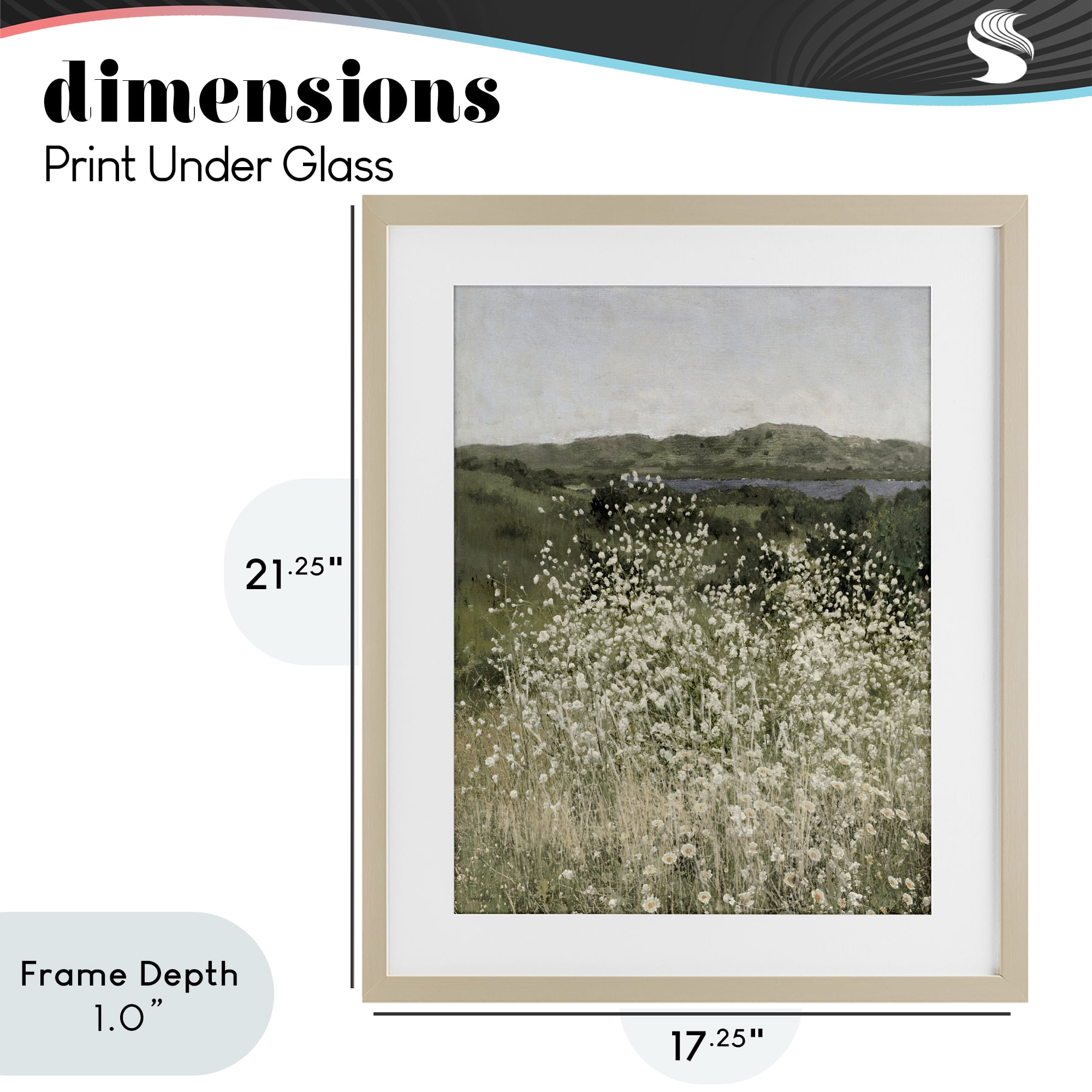Stupell Industries Sunlit Meadow of White Daisies Birch Framed Print Under Glass, design by Amber Sterling