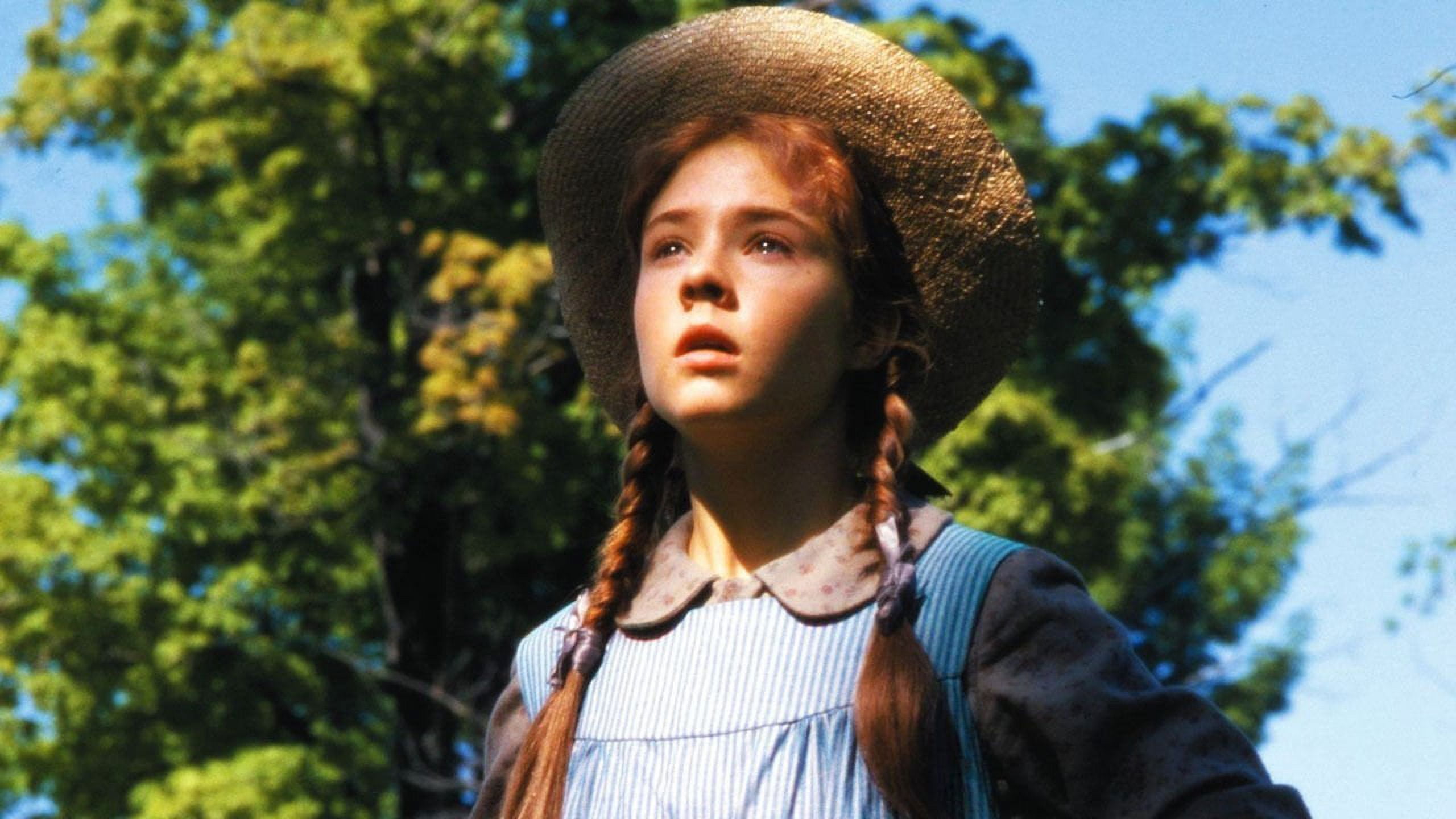 Anne of Green Gables (Five-Disc Collector's Edition) (DVD)