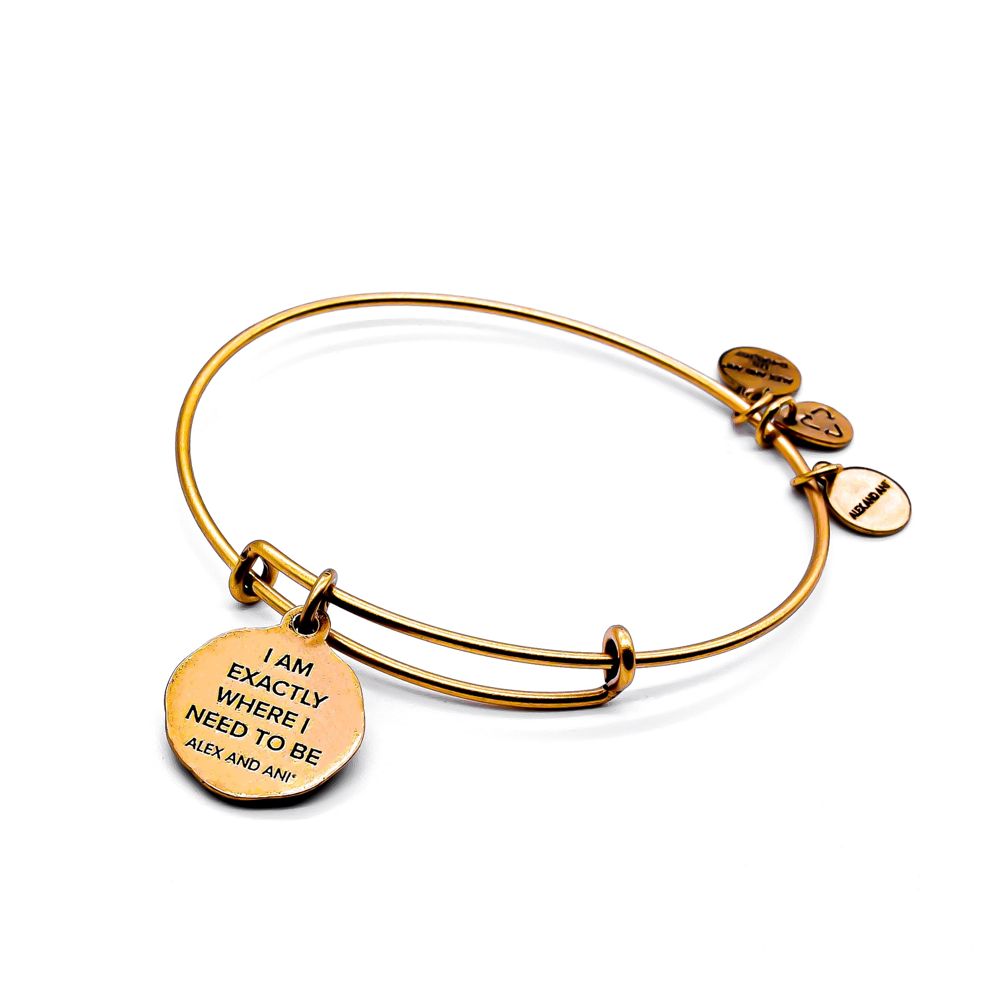 Blessed Charm Bangle Bracelet - Alex and Ani