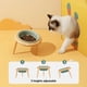 thumbnail image 5 of 800ml Cat Food Water Bowl with Wood Stand Small Medium Dogs Elevated Drinking Eating Feeder Pet Ceramic Feeding Supplies ShopWise Round, 5 of 12