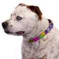 thumbnail image 5 of Country Brook Petz® 1 inch Paint Splatter Martingale Dog Collar, Medium, 5 of 6
