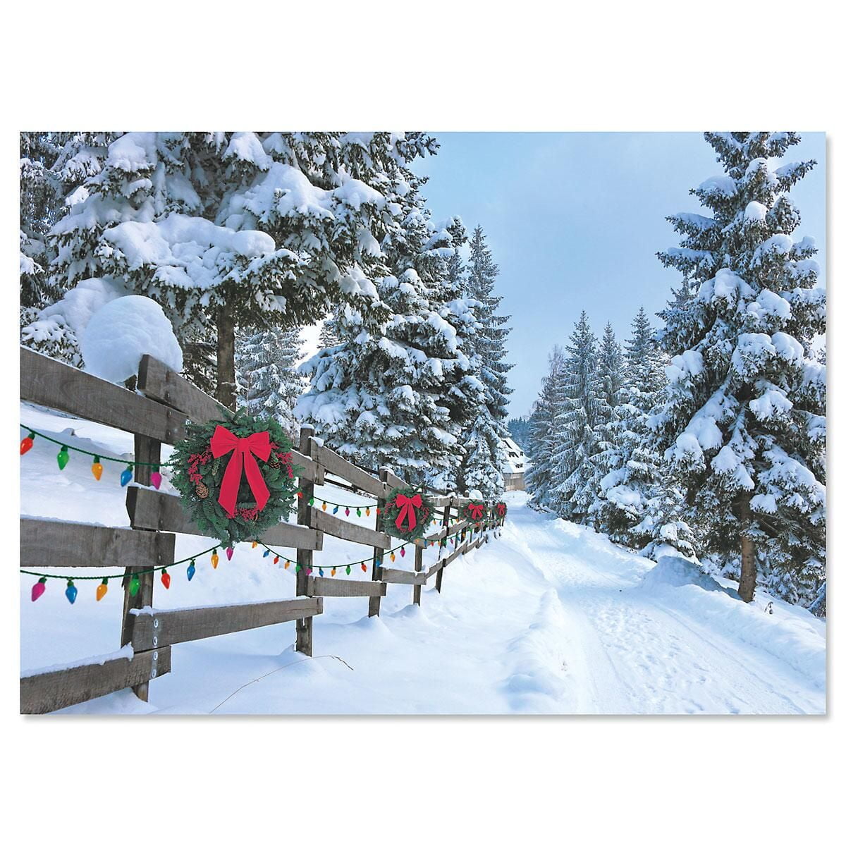 Forest Lane Christmas Cards - Set of 18, Themed Holiday Greeting Card Value Pack