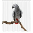 thumbnail image 3 of Ambesonne Grey Shower Curtain, Parrot on a Branch, 69"Wx75"L, Multicolor, 3 of 3