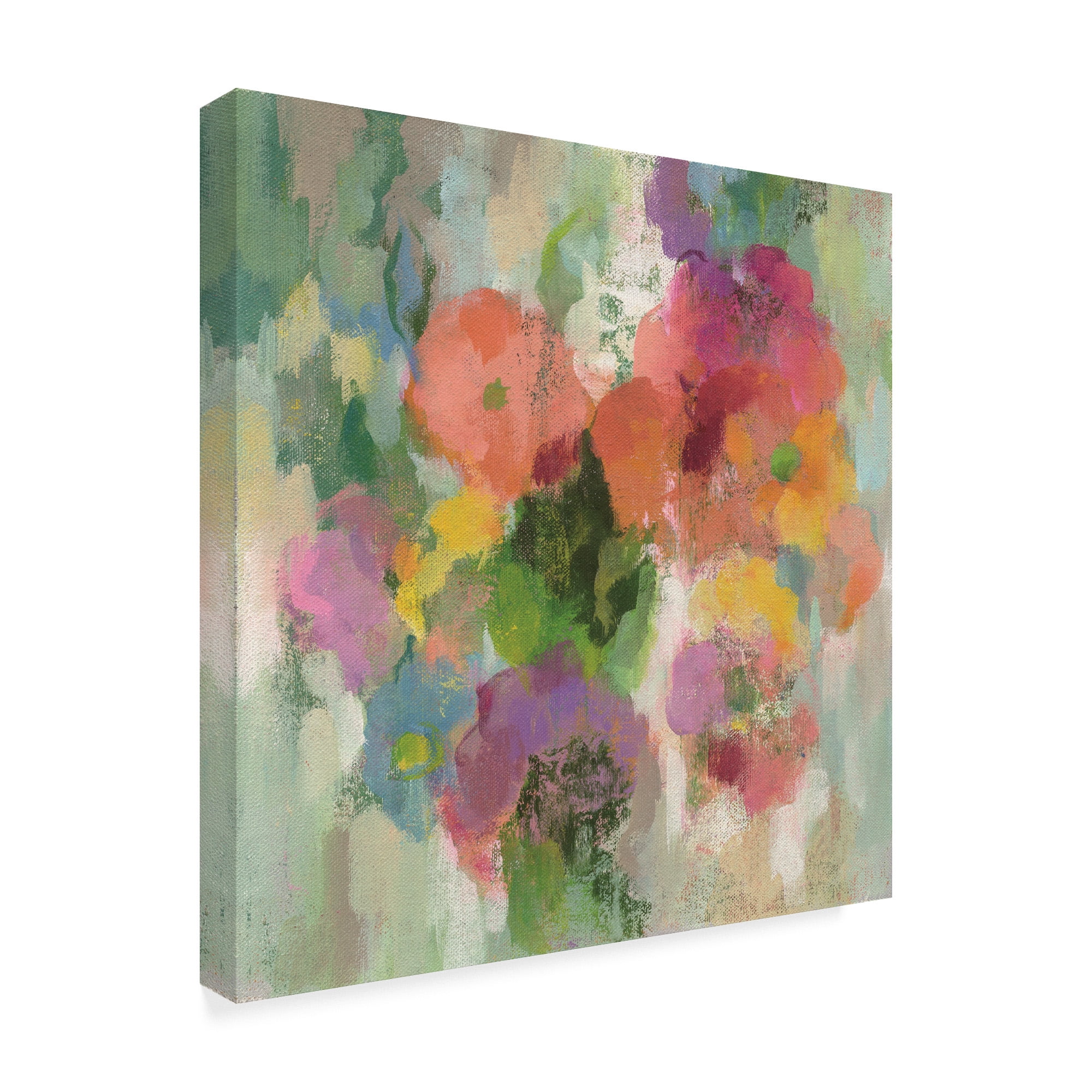 Trademark Fine Art 'Colorful Garden II' Canvas Art by Silvia Vassileva