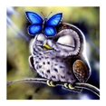 thumbnail image 1 of Relaxed Hibou - Peinture Diamant DIY, 1 of 6