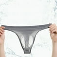 thumbnail image 4 of Men Low Waist Sexy Briefs Pouch Panties See Through Underwear Thongs G-string, 4 of 14