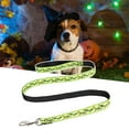 thumbnail image 4 of Biplut Halloween Pet Traction Rope Buckle Design Flexible Colorful Sturdy Portable Add Atmosphere Stainless Spider Print Pet Halloween Leash Pet Products (Type 2,M), 4 of 13