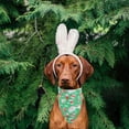 thumbnail image 1 of Bufanda de Pascua de dos caras para perros y gatos | Bandana triangular de licra multicolor | Accesorio elegante y duradero para mascotas | Babero festivo y servilleta para la hora de comer par, 1 of 5